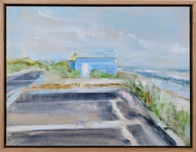 Blue Bathing Boxes Aspendale