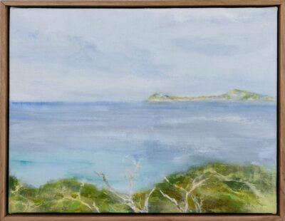 Light On Glennie Islands Wilsons Prom